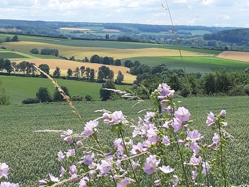 Hotel Berg En Dal Epen Exteriör bild